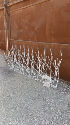نکات مهم در انتخاب حفاظ شاخ گوزنی استاندارد
